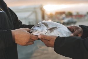 Māori authorities annual exports contract…