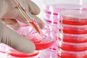 Endeavour Fund contestable round swapped for funding extension