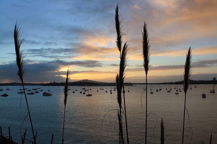 Govt ‘sneakily reneged’ Hauraki Gulf protection – Labour