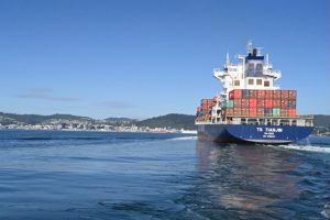 Māori authorities exports fall 13% as markets diversify
