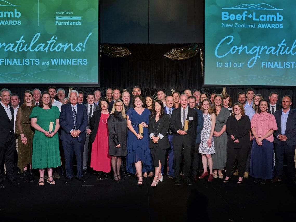 B+LNZ awards winners revealed