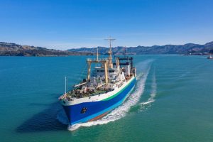 Commercial fishing output hits $6.4bn as value offsets lower catch – report