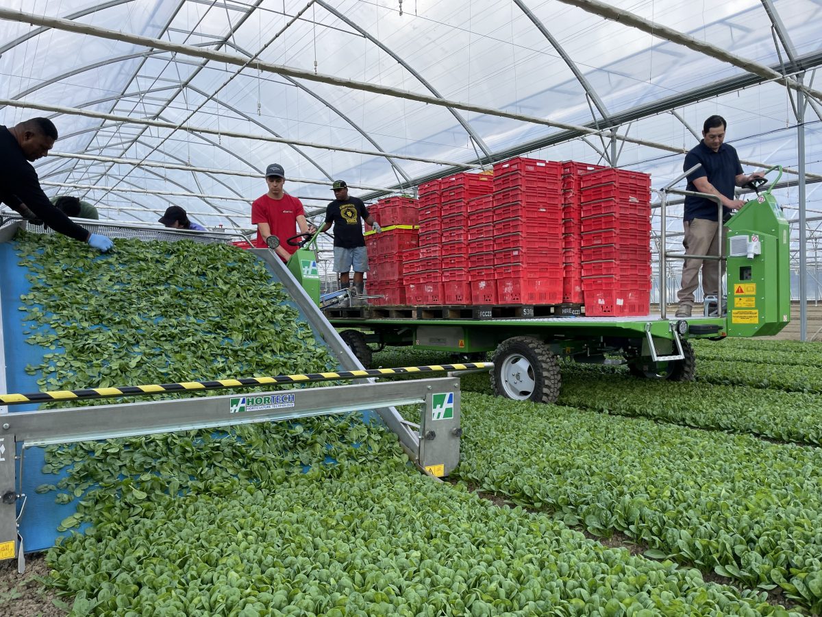 Electric harvester in NZ debut at Leaderbrand