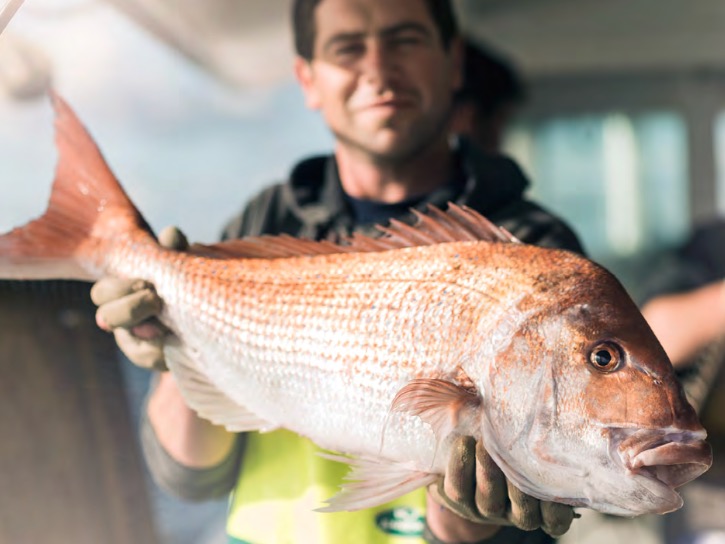 Moana ahead of plan at half-year, challenges remain…