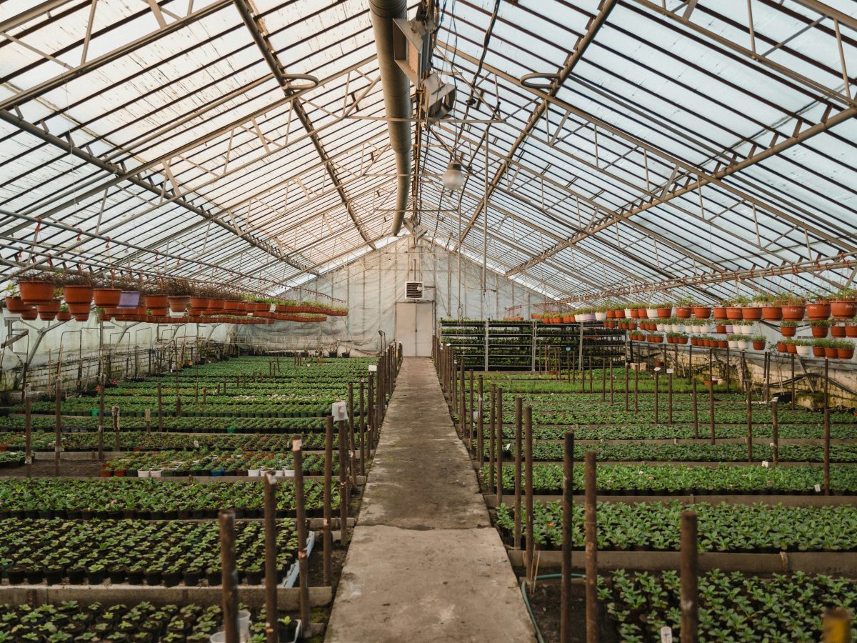 SFFF backs Upflow geothermal food system project