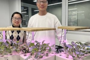 Hydroponic growing startup moves to test phase