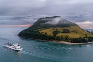 Zespri to manage around Cyclone Vaianu, Middle East war impacts