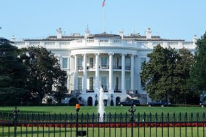 Trump 2.0: What NZ food exporters should focus on – Rabobank