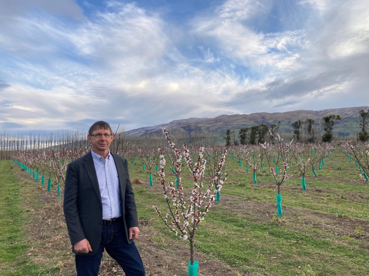 NZ Summerfresh’s commercial names for Summer apricot series
