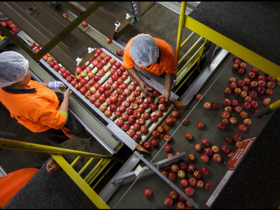 New owner for Freshmax Group