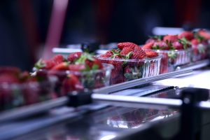 T&G in iwi berry tie-up