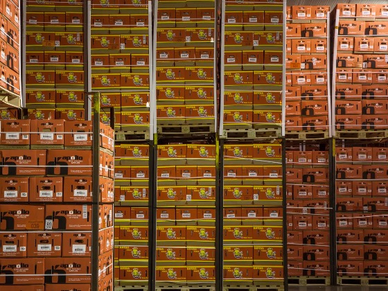 Pipfruit bounces-back to pass $1bn milestone