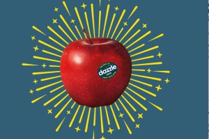 Scales Dazzles with record results