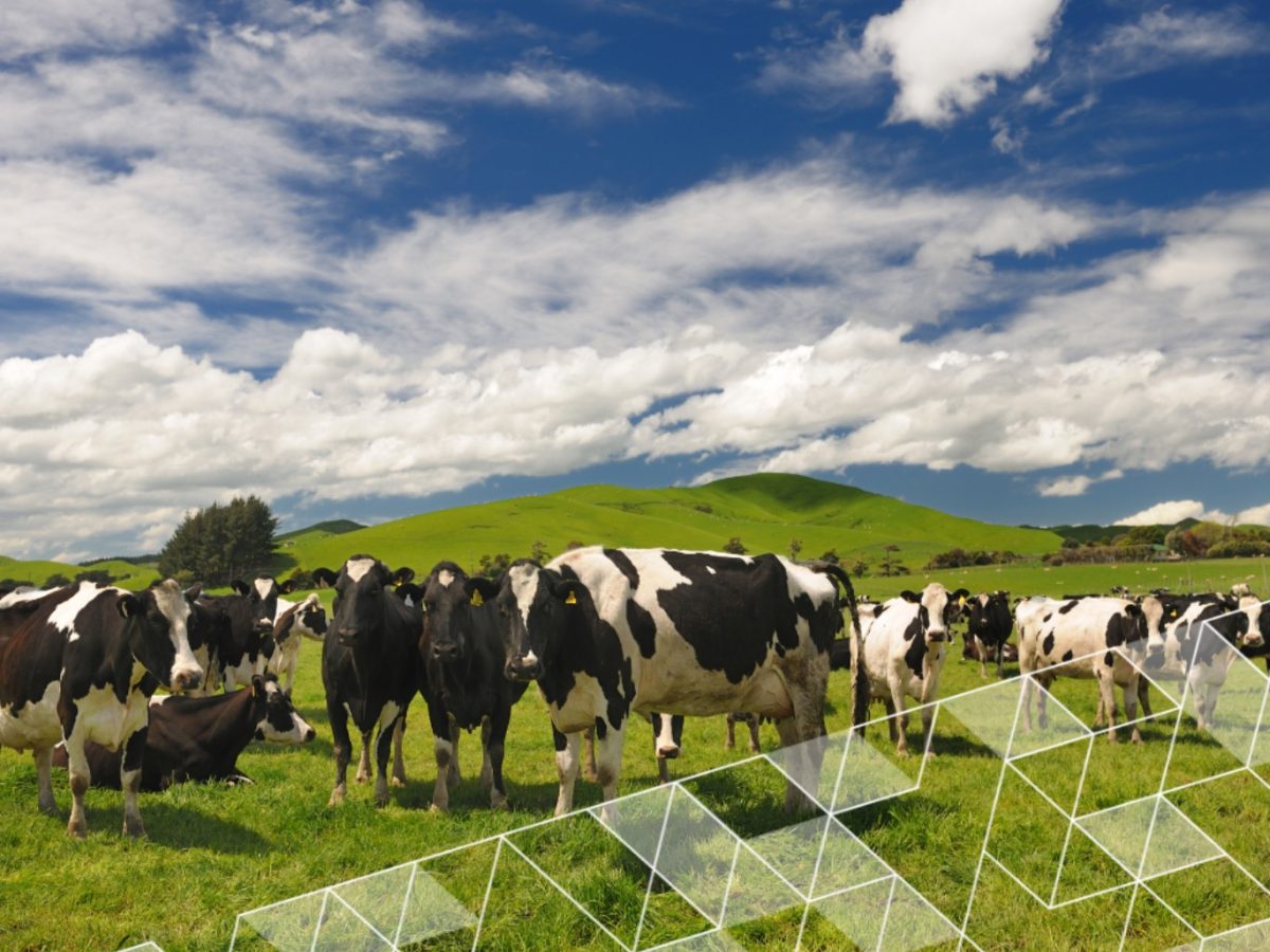 Government axing Green Investment Finance