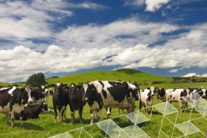 Government axing Green Investment Finance