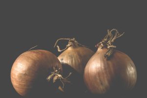 Food tech startup takes aim at hort waste