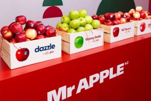 Scales shuffles CFO, upgrades guidance