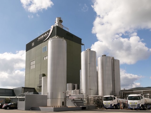 “Significant challenges” – Miraka selling to Open Country Dairy