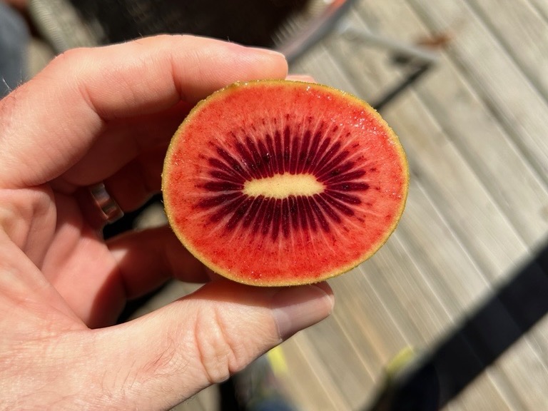 Zespri adds to RubyRed global arsenal