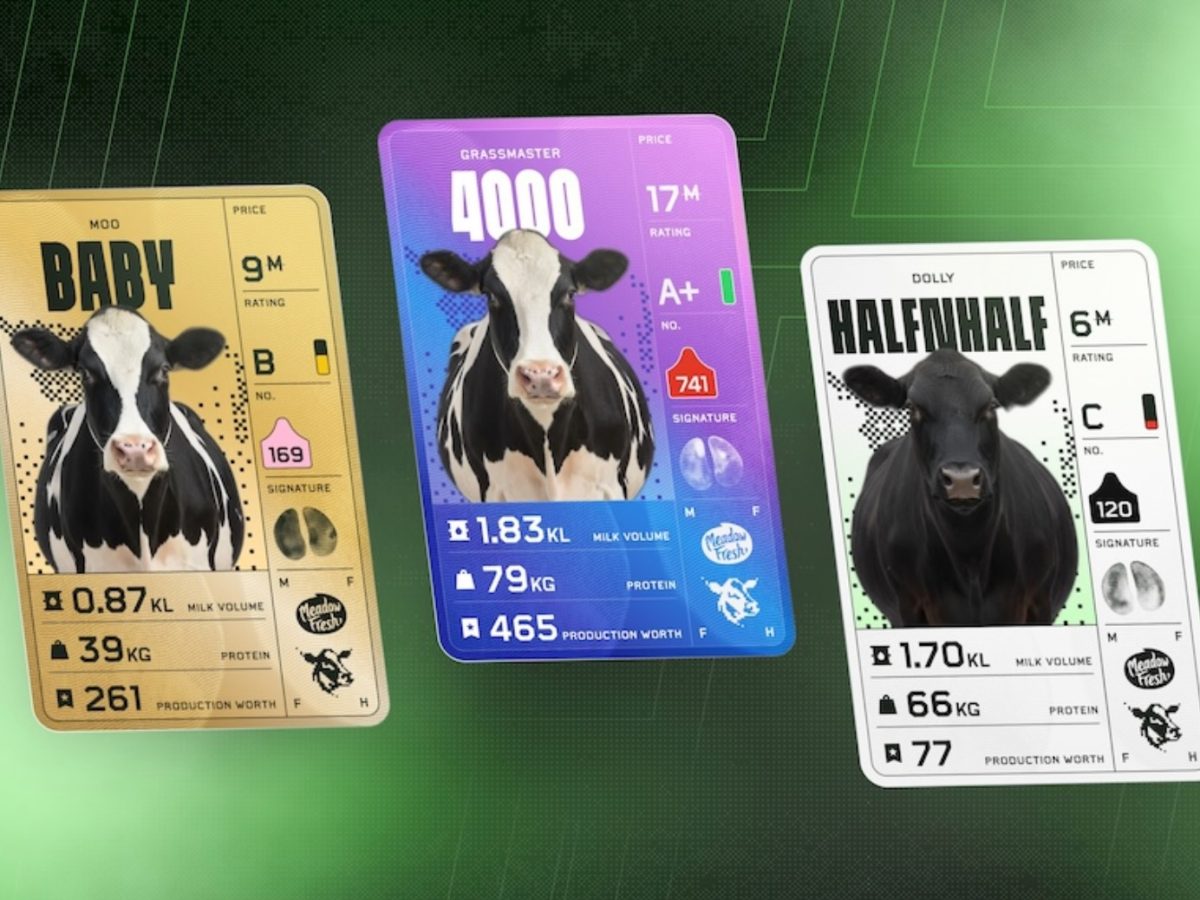 Meadow Fresh cow fantasy league campaign