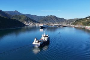 NZ King Salmon well chuffed with wellboat