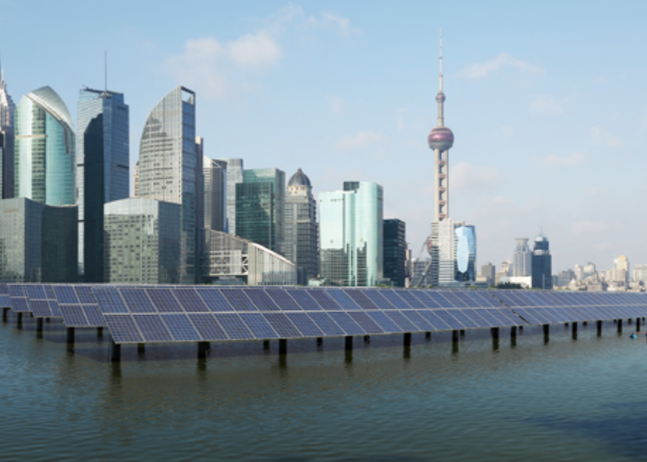 E Tipu 2026: What is NZ’s plan if China is a net animal protein exporter by 2040?