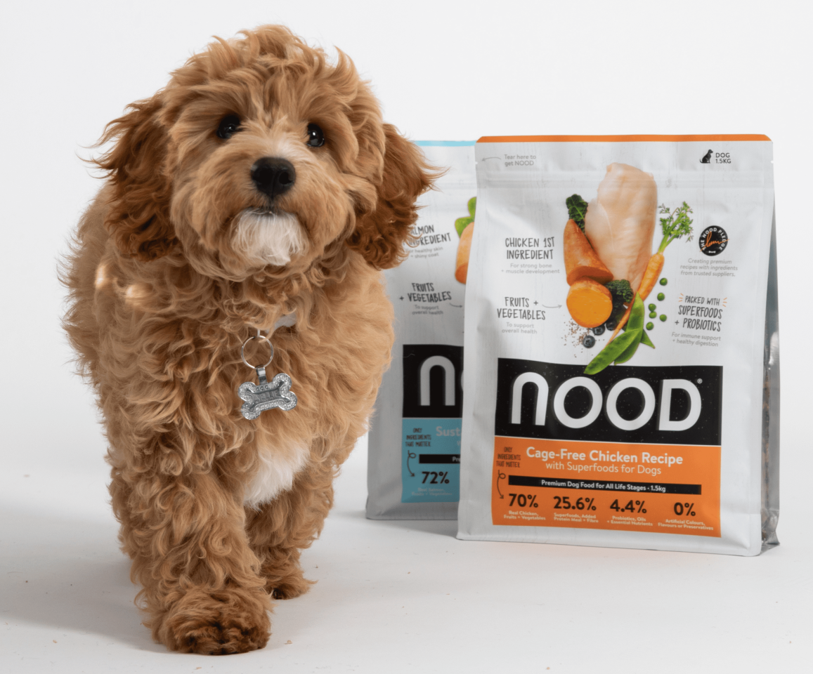 Zuru boosts FMCG footprint with mega Thailand pet play