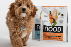 Zuru boosts FMCG footprint with mega Thailand pet play