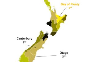 Kiwifruit and dairy fortunes shift regional economic momentum
