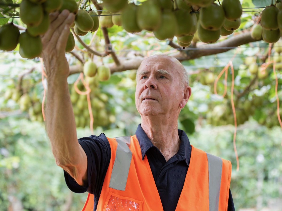 King’s Birthday Honours: Kiwifruit, hop and Power Farming pioneers recognised