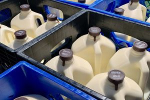 Perspectives: Would you buy milk from a gene‑edited cow? Consumers may be more open than you think