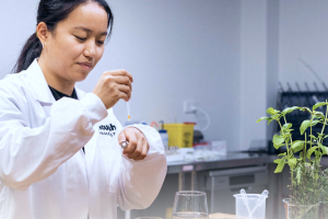 Chinese pharma mega-factories pivot to novel food – GFI report