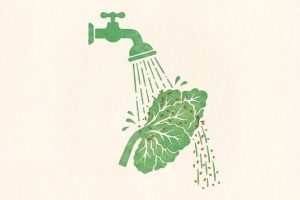 When efficiency breeds fragility – Mike Lee on lessons from the US produce outbreak