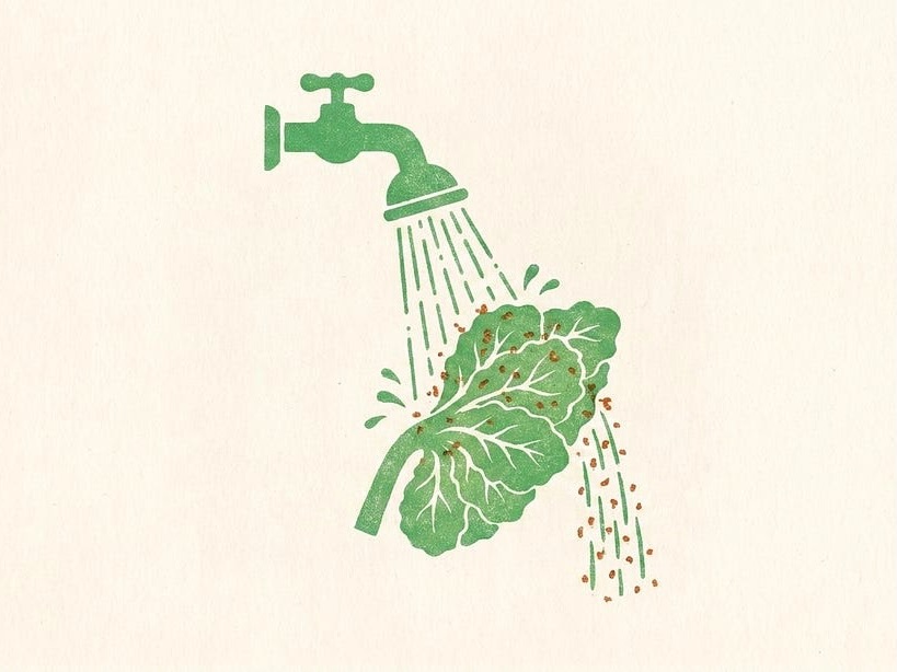 When efficiency breeds fragility – Mike Lee on lessons from the US produce outbreak