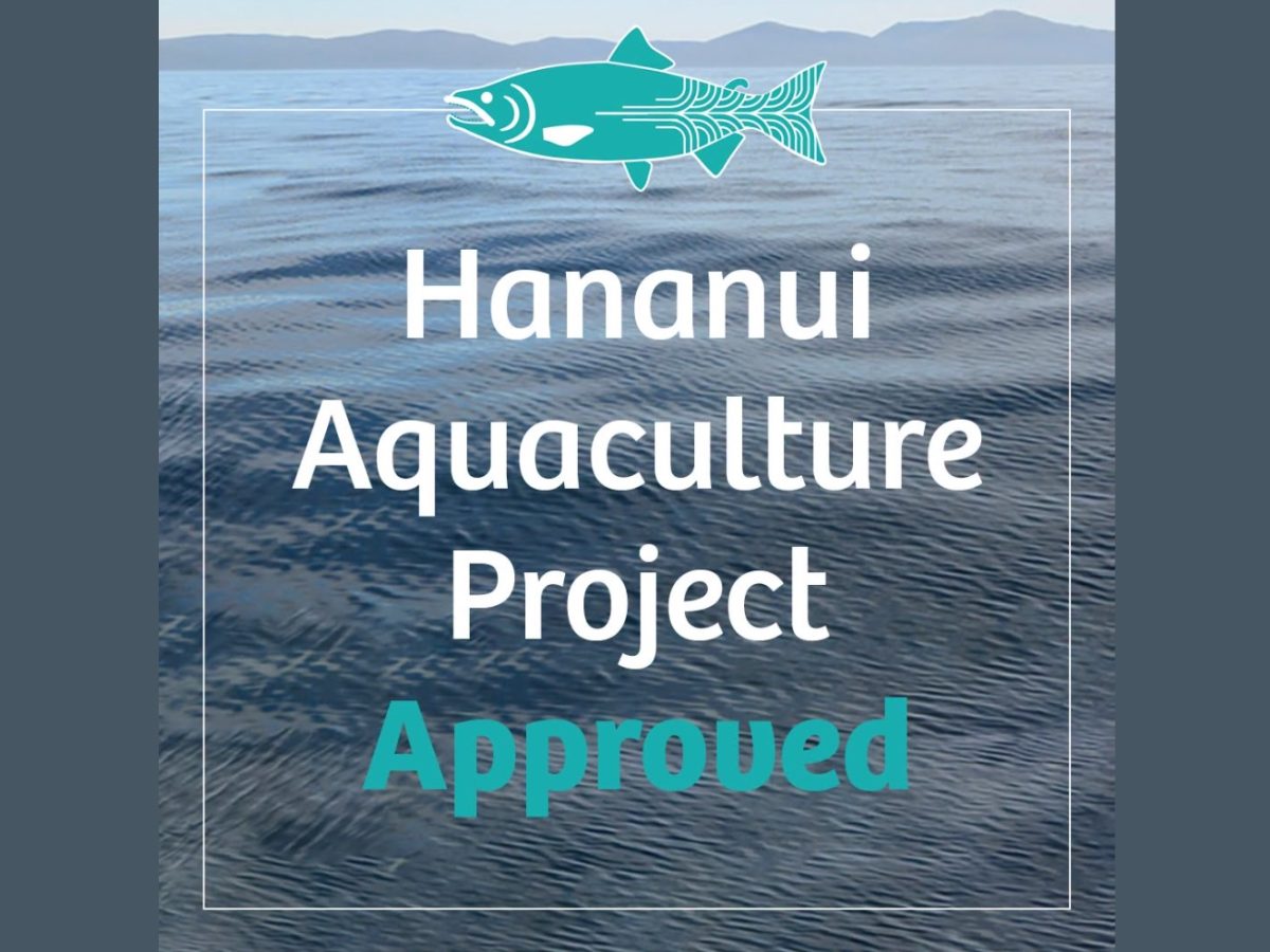 Ngāi Tahu’s Hananui gets fast-track approval