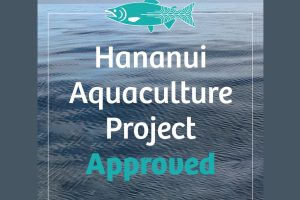 Ngāi Tahu’s Hananui gets fast-track approval