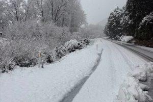 Snow, avalanche risk closes South Island roads