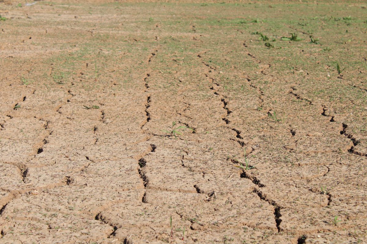 Perspectives: As severe drought hits, the UK’s food system faces crisis – here’s how to change that
