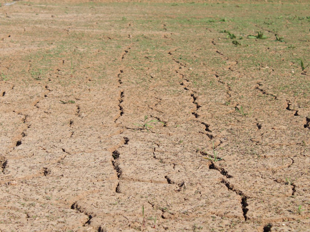 Perspectives: Food resilience versus food security, and the case for a UK food resilience index