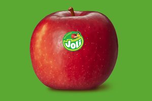 “The makings of the next billion dollar apple” – Joli makes consumer debut